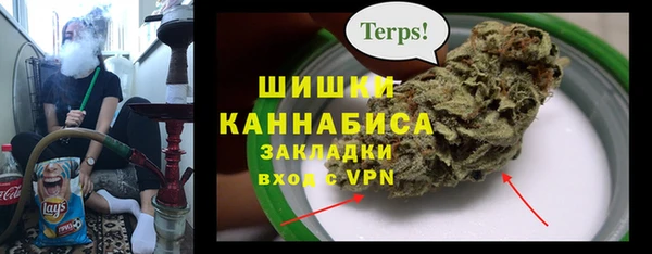 спайс Бородино