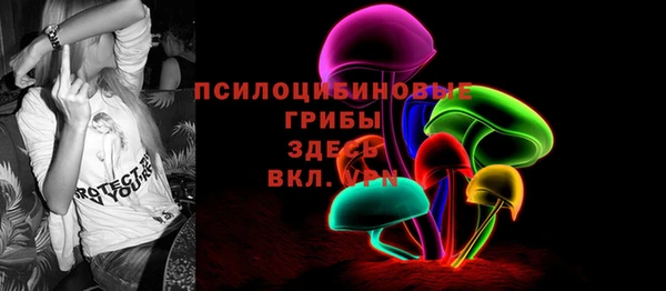 дживик Бронницы