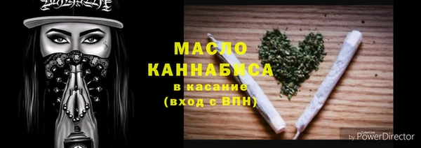 дживик Бронницы