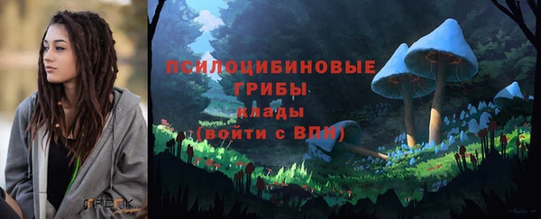 спайс Бородино